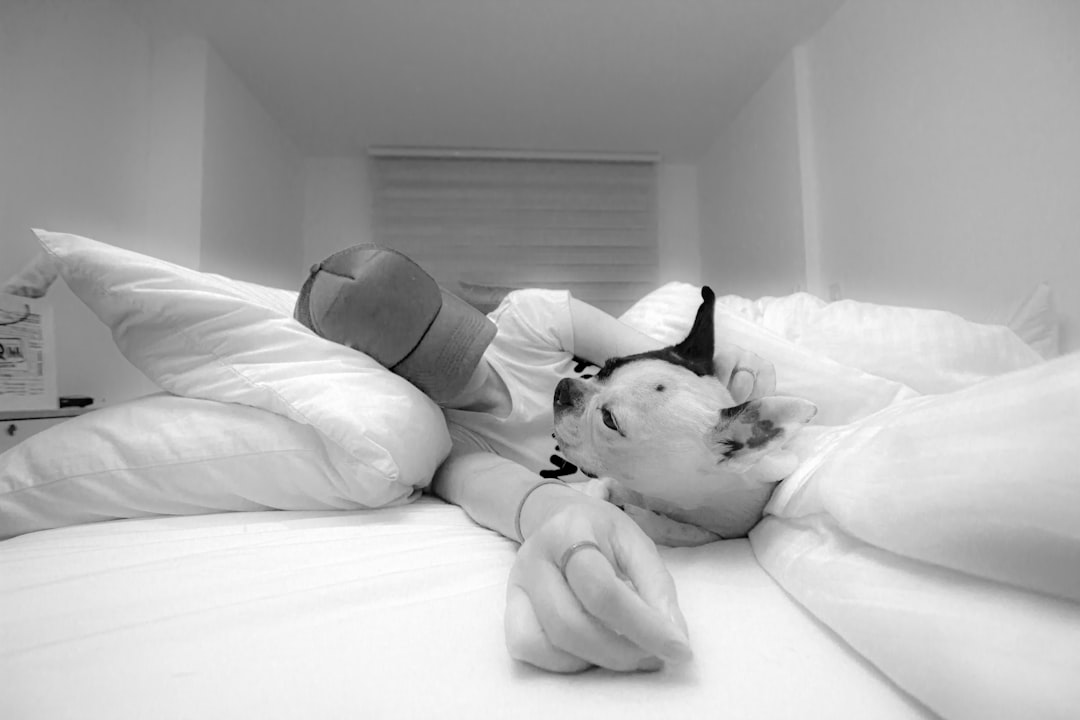 Дотримання режиму CPAP: що це таке та чому це важливо